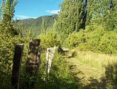 Prado con frutales, Lago Puelo