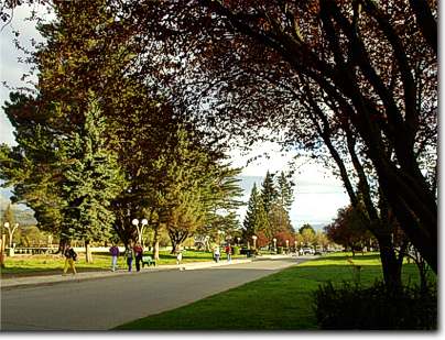 Avenida San Martin, El Bolson Patagonia Argentina