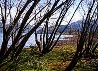 Lago Puelo, a 5 minutos de Camping los Quinchos