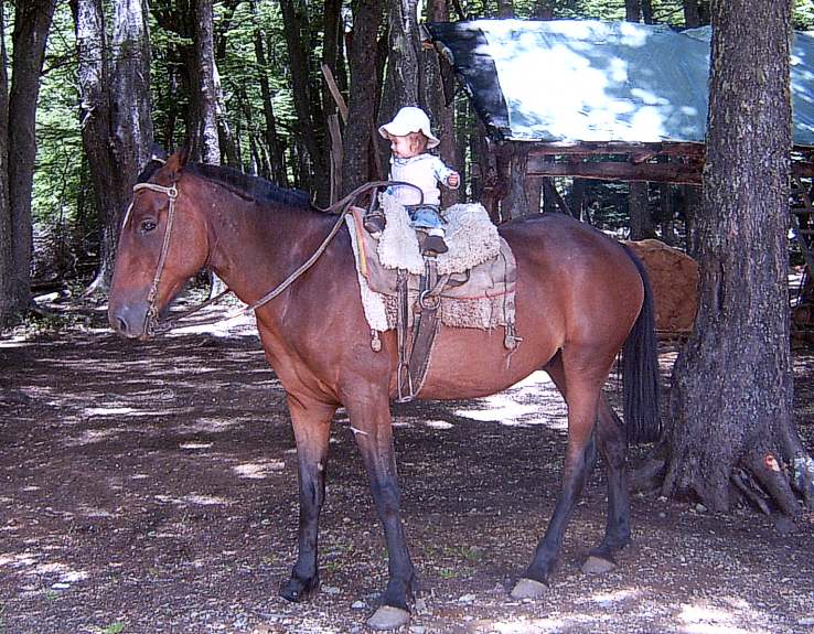 Cabalgatas en El Bolson