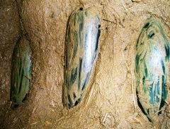 El Bolson agroturismo. Chacras organicas