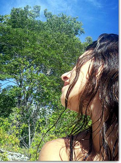 Bosque en la costa del lago