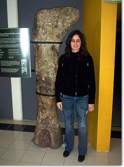 Mef Trelew Patagonia