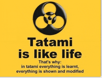 Tatami shinshinkan