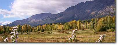 Vista del Cerro Piltriquitron El Bolson, predio Cabañas Limay