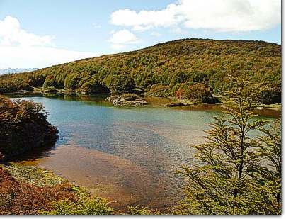 Laguna Natacion Refugio El Bolson Patagonia Argentina