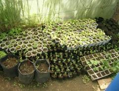 El Bolson, cultivos organicos, chacras. Mallin Ahogado