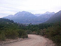 Camino hacia Puerto Patriada