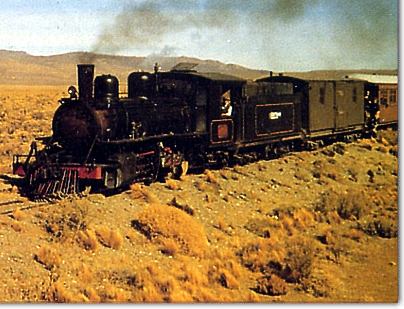 Tren mixto