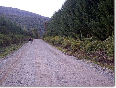 Camino al Rio Azul