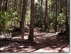 Sendero al Cajon del Azul, El Bolson