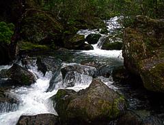 Rio Corbata