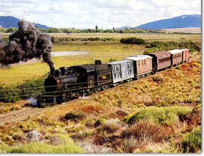 Puede apreciarse la línea telegráfica que acompaña el recorrido de la Trochita