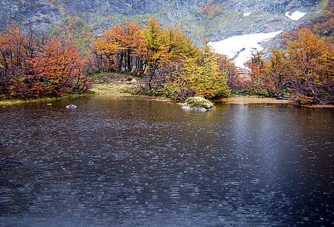 Lago Natacion