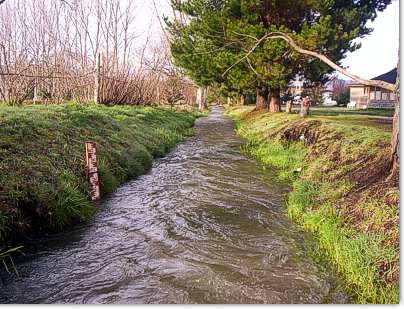 Arroyo para irrigar el sembradio