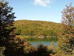 Lago Natacion