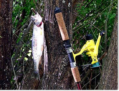 Pesca en el Desemboque del Rio Epuyen en Lago Puelo
