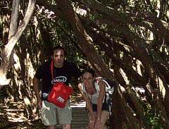 Turistas en el Bosque de las Sombras