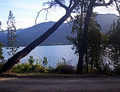 Camino en la costa, Puerto Patriada, El Bolson Patagonia Argentina