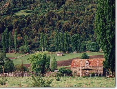 Camino al Rio Azul, El Bolson