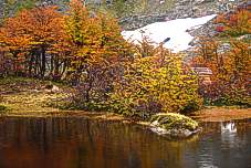 Lago Natacion Hielo Azul