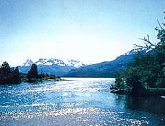 Cholila