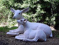 Animales en Pillan Lemu