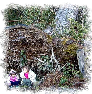 Hobbits El Bolson Patagonia Argentina