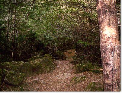 Sendero de La Cascada de El Hoyo