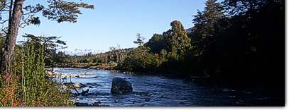 Rio Azul, Camping Los Alerces, El Bolson