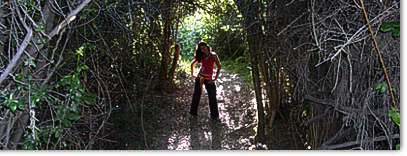 Senderos en el bosque del Parque Nacional Lago Puelo | Camping del Lago