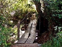 Segundo puente