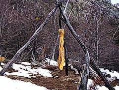 Bosque Tallado El Bolson