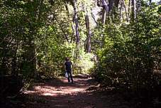 Sendero al Cajon del Azul