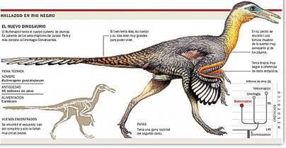 Dinosaurio ave hallado en la Patagonia
