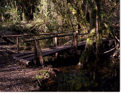 Pitranto Grande, paseos y excursiones desde El Bolson