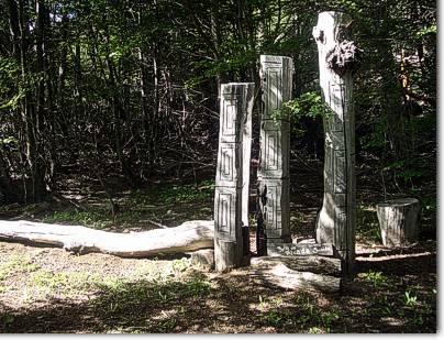 Bosque Tallado