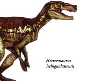 Dinosaurio Patagonico