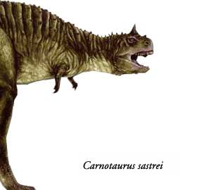 Dinosaurios patagonicos
