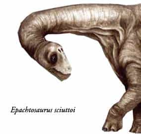 Dinosaurios Patagonia