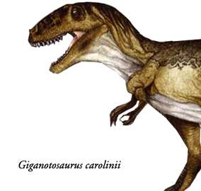 Dinosaurios Patagonia