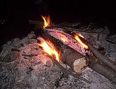Fogata nocturna en el bosque de El Bolson