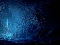 Resplandor en el bosque