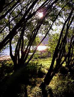 Parque con fogones proximo a La Playita
