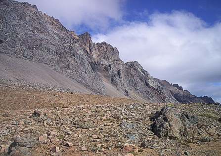 Cerro Piltriquitron, ladera, cerca de la cumbre. | El Bolson Patagonia Argentina