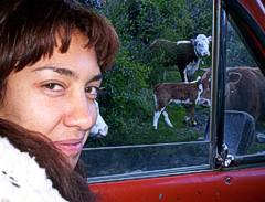Desde el auto